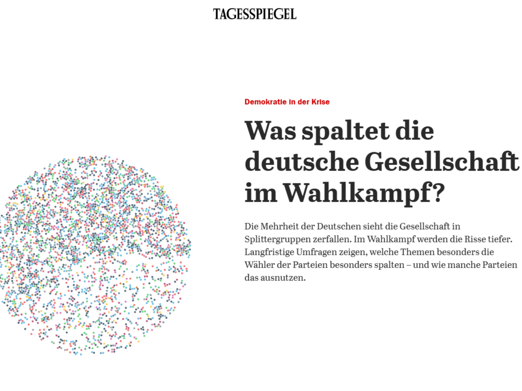 Article in Tagesspiegel: Issues and Debates ahead of the 2025 German Election